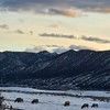 moutainthreads